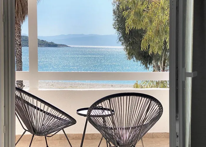 Palm Suite Blue
